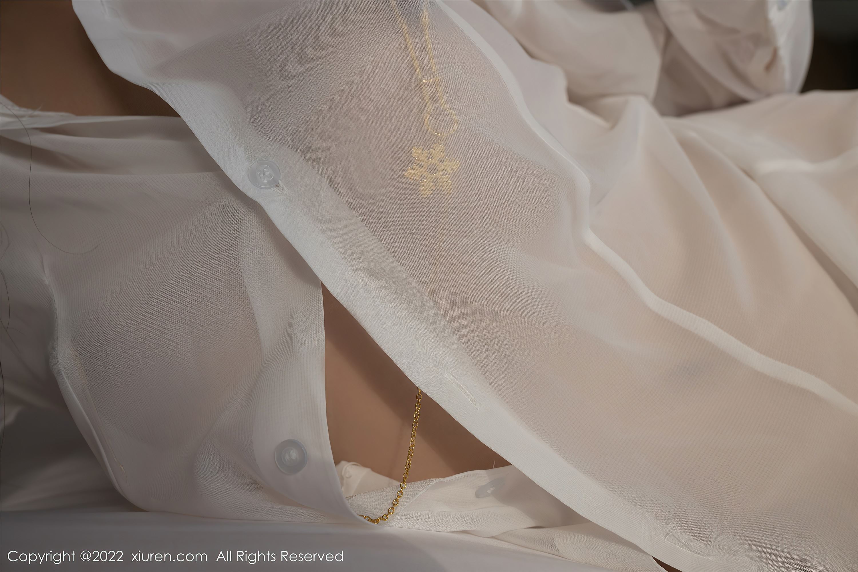 Xiuren秀人网 2022.03.30 NO.4796 利世